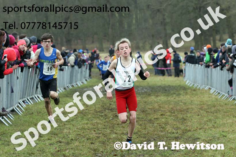 Boys under-13s, 2018 Northern Cross Country Champs., Harewood House, Leeds. Photo: David T. Hewitson/Sports for All Pics